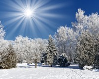 /album/kartiny-/solnestoyanie-1-jpg/